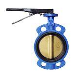 FNW® 711 Series Cast Iron EPDM Lever Handle Butterfly Valve FNW711EP at Pollardwater