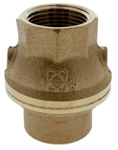2 in. Bronze NPT Check Valve