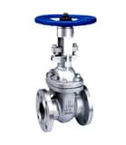 Neway Valve G1RA8 Carbon Steel Flanged Gate Valve NG1RA8L at Pollardwater