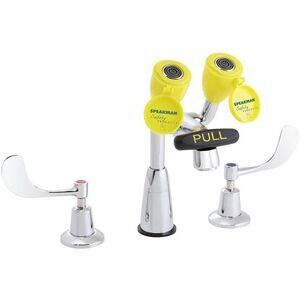 Combination Eyewash And Faucet Polished Chrome