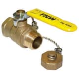 FNW® Figure 426A Brass Full Port NPT x GHT 600# Ball Valve FNW426ADF at Pollardwater