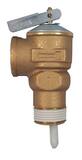 Apollo Valves 13 Series 3/4 in. Bronze MNPT x FNPT 15# 250 F Relief Valve A13511B15 at Pollardwater