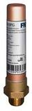 FNW® 1/2 in. MPT Water Hammer Arrestor FNWX10PD at Pollardwater