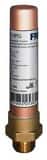 FNW® Figure X10 3/4 in. MPT Water Hammer Arrestor FNWX10PF at Pollardwater