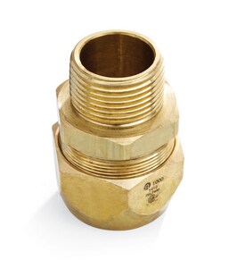 1 in. MNPT Straight Fitting