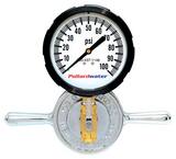 Pollardwater NST 2-1/2 in. 160 psi Gauge PP67022LF at Pollardwater
