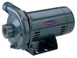 CP Series Lead Law Compliant BERKELEY Straight CENT PUMP Cast Iron HSNG PS39516 at Pollardwater
