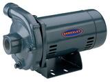 CP Series Lead Law Compliant BERKELEY Straight CENT PUMP Cast Iron HSNG PS39520 at Pollardwater