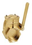 Moro USA Brass FNPT Gate Valve C10410000MZ at Pollardwater