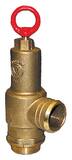 Moro USA 2 in. Brass MNPT x Barbed Pressure Relief Valve MMMA167 at Pollardwater