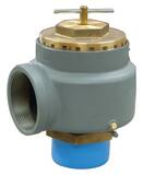 Kunkle Valve NPT x Threaded Pressure Relief Blower K337J at Pollardwater