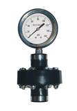 Kodiak Controls 2-1/2 in. 100 psi Chemical Seal Gauge with Teflon and Fluorolube KKC311D25100DSPVCT at Pollardwater