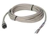 LMI LMI 4-Pin Extension Cable 20 ft L2603420 at Pollardwater