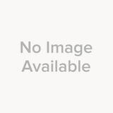 LMI ROYTRONIC® Foot Valve Assembly 49103 L49103 at Pollardwater