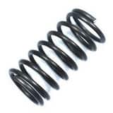 LMI LMI LiquiPro™ Spring Hastelloy® Compression L37341 at Pollardwater