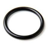 LMI ROYTRONIC® O-Ring PTFE L48591 at Pollardwater