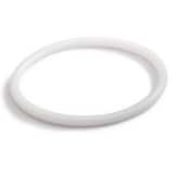 LMI ROYTRONIC® O-Ring PTFE 2-007 White L48590 at Pollardwater