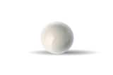 LMI LMI LiquiPro™ Ceramic Check Ball 3/8 in L10338 at Pollardwater