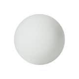 LMI LMI LiquiPro™ PTFE Check Ball 3/8 in L10444 at Pollardwater