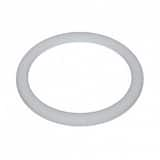 Pulsafeeder Chem-Tech™ PTFE Gasket for Pulsatron 100D and 150D Series Mechanical Diaphragm Pumps PJ27903 at Pollardwater