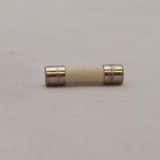 Pulsafeeder PULSAtron® Fuse For E+ Pumps PL9707300000 at Pollardwater
