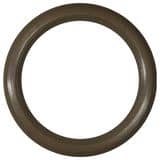 Pulsafeeder PULSAtron® Suction/Discharge Valve O-Ring Viton PL1501300VTN at Pollardwater