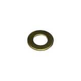 Pulsafeeder PULSAtron® Brass Shim PL9901200BRS at Pollardwater
