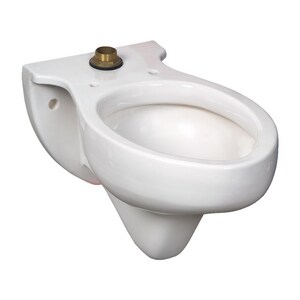 Elongated Toilet Bowl in White