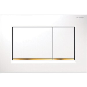 Actuator Flush Plates in Polished Gold