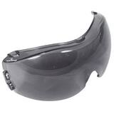 Radians Cloak™ Dual Mold Safety Goggle RDMG11 at Pollardwater