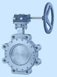 FNW® HPA Series 12 in. Stainless Steel High Performance Gear Operated Wafer Butterfly Valve FNWHPA1WSTG12 at Pollardwater