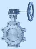 FNW® HPA Series 10 in. Stainless Steel High Performance Gear Operated Wafer Butterfly Valve FNWHPA1WSTG10 at Pollardwater