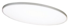 32 in. 32W 120/277V LED Oval Flush Mount Ceiling Fixture in Satin Nickel