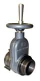 Harrington Aluminum Hydrant Gate Valve HHHGV25NHM25NH at Pollardwater