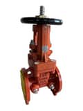 FNW® Figure 751 4 in. Ductile Iron Flanged Gate Valve FNW751P at Pollardwater