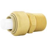 Jones Stephens Plumbite® 3/4 x 1-37/50 in. Push x MNPT Global Brass Adapter JC77418LF at Pollardwater