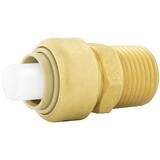 Jones Stephens Plumbite® 1-37/50 in. Push x MNPT Global Brass Adapter JC77418LF at Pollardwater