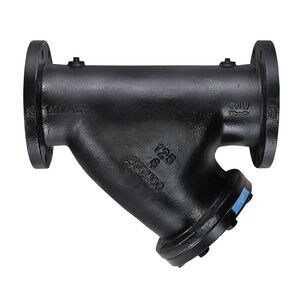Wye 2-1/2 in. Cast Iron, Stainless Steel Flanged Valve Strainer