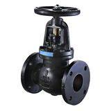 FNW® Figure 661 Flanged Globe Valve FNW661BL at Pollardwater