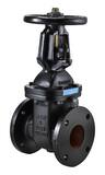 FNW® Figure 651B 2-1/2 in. Cast Iron Flanged Gate Valve FNW651BL at Pollardwater
