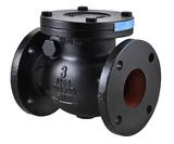 FNW® Figure 671B 2 in. Cast Iron Flanged Swing Check Valve FNW671BK at Pollardwater