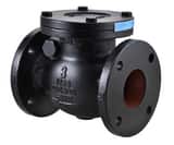 FNW® Figure 671B 8 in. Cast Iron Flanged Swing Check Valve FNW671BX at Pollardwater