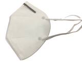 ENTOS One Size Fits All Non-Woven Fabric Disposable KN95 Mask (Pack of 30) KN9530 at Pollardwater