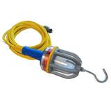 Jameson 25 ft. 120V LED Explosion Proof Drop Light J372625 at Pollardwater