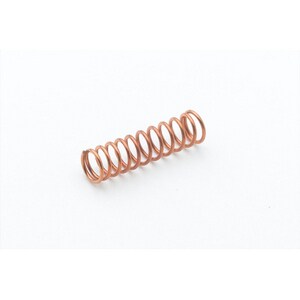 Spring for Eterna Cartridge With Spring Checks