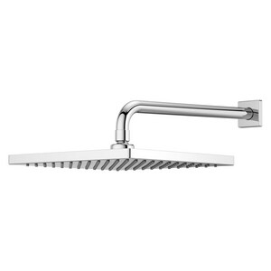 Single Function Showerhead in Polished Chrome