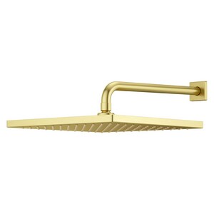 Single Function Showerhead in Brushed Gold