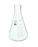 VG Washington Sibata 1L Glass Erlenmeyer Flask 10/PK V105301000A at Pollardwater