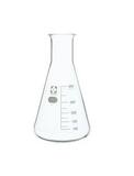 VG Washington Sibata 300 mL Glass Erlenmeyer Flask 10/PK V10530300A at Pollardwater