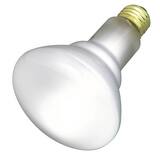 SATCO BR Series 65 W Dimmable Incandescent Medium E-26 SS2808 at Pollardwater